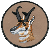 Beautifully embroidered Pronghorn Antelope 5-1/2 inch patch WB animal mascot collectible gift